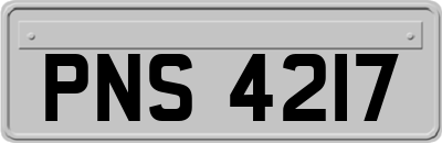 PNS4217