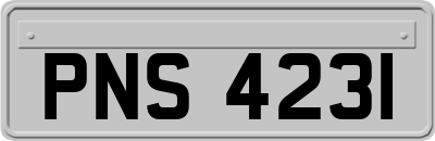 PNS4231