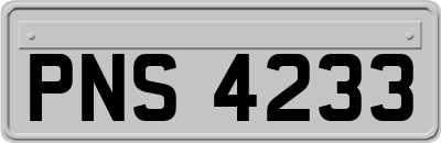 PNS4233