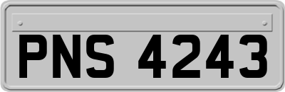 PNS4243