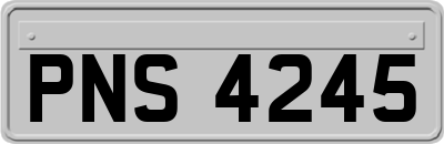 PNS4245