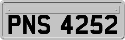PNS4252