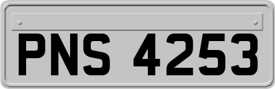 PNS4253