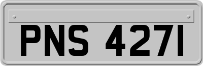 PNS4271