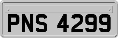 PNS4299