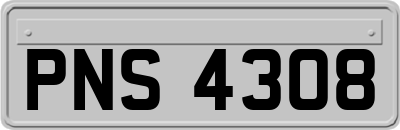 PNS4308