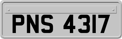 PNS4317
