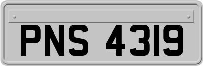 PNS4319