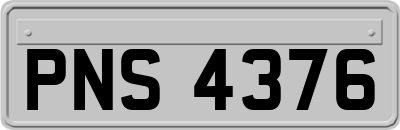 PNS4376
