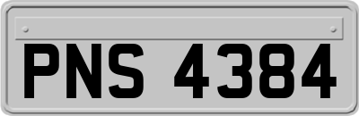 PNS4384