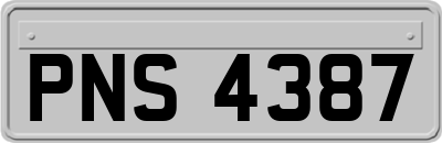 PNS4387