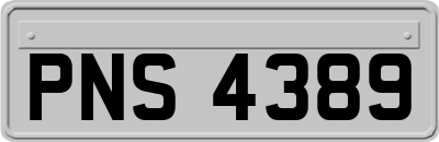 PNS4389