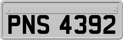PNS4392