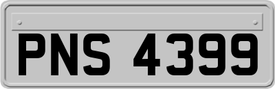 PNS4399