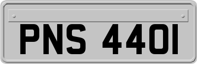 PNS4401
