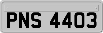 PNS4403