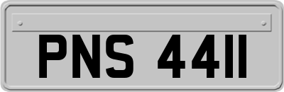 PNS4411