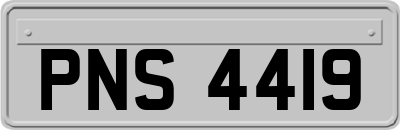 PNS4419