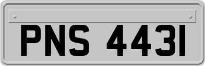 PNS4431