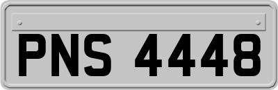 PNS4448