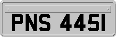 PNS4451