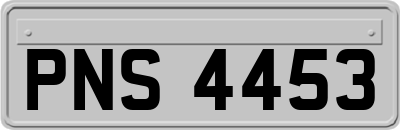 PNS4453