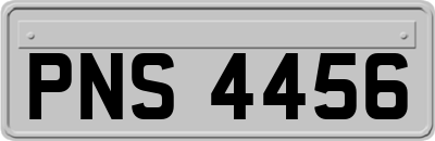 PNS4456