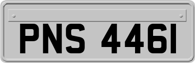 PNS4461