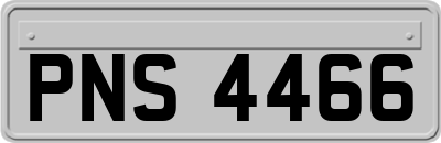 PNS4466