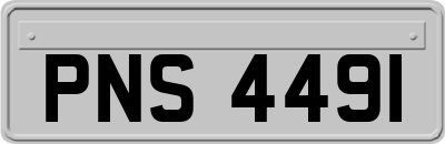 PNS4491