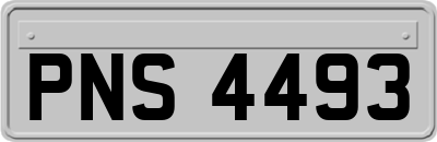 PNS4493