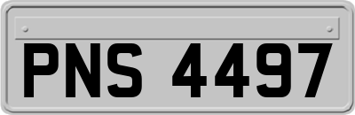 PNS4497