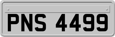 PNS4499