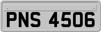 PNS4506