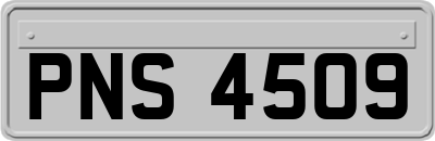 PNS4509