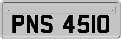 PNS4510
