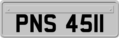 PNS4511