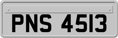 PNS4513