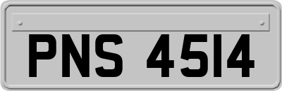 PNS4514