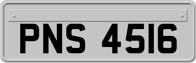 PNS4516