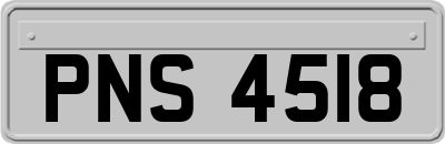 PNS4518