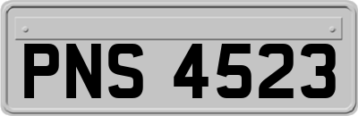 PNS4523