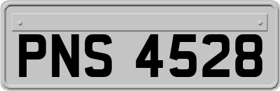 PNS4528