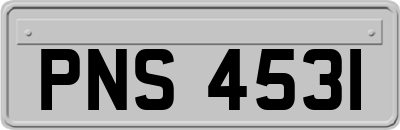 PNS4531