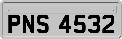 PNS4532