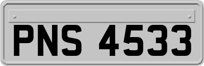 PNS4533
