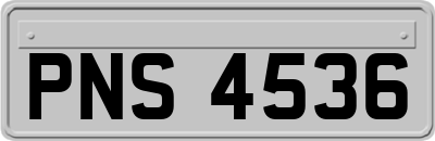 PNS4536
