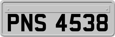 PNS4538