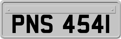 PNS4541