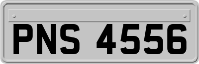 PNS4556